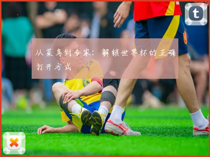 从菜鸟到专家：解锁世界杯的正确打开方式