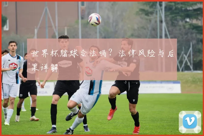 世界杯赌球合法吗？法律风险与后果详解