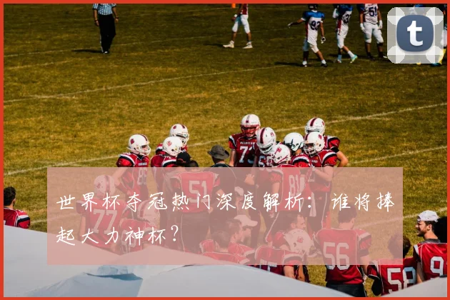 世界杯夺冠热门深度解析：谁将捧起大力神杯？