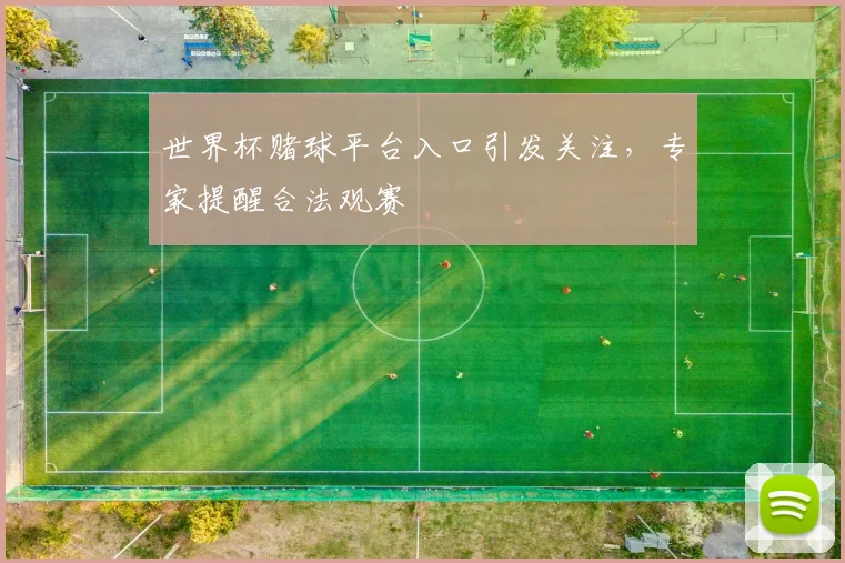世界杯赌球平台入口引发关注，专家提醒合法观赛