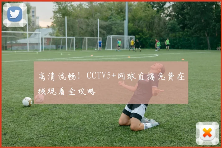 高清流畅！CCTV5+网球直播免费在线观看全攻略