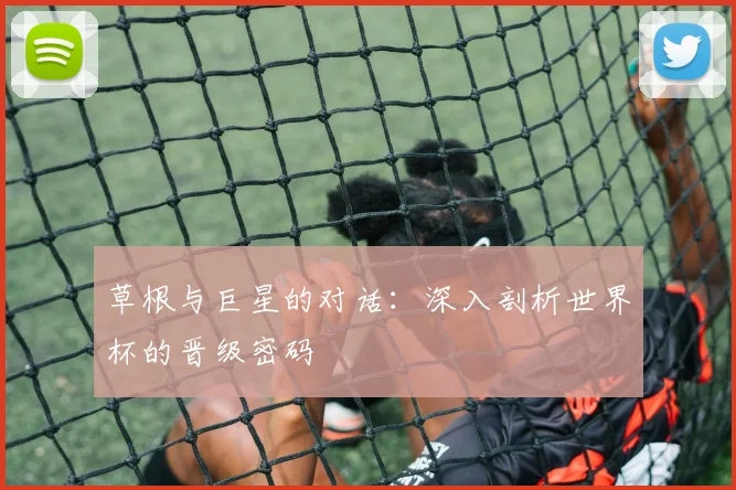 草根与巨星的对话：深入剖析世界杯的晋级密码