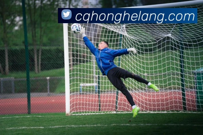 必一运动体育app官网品牌故事