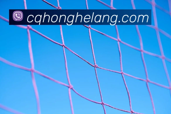 必一运动体育app官网服务体系